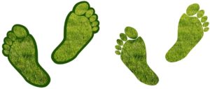 office carbon footprint